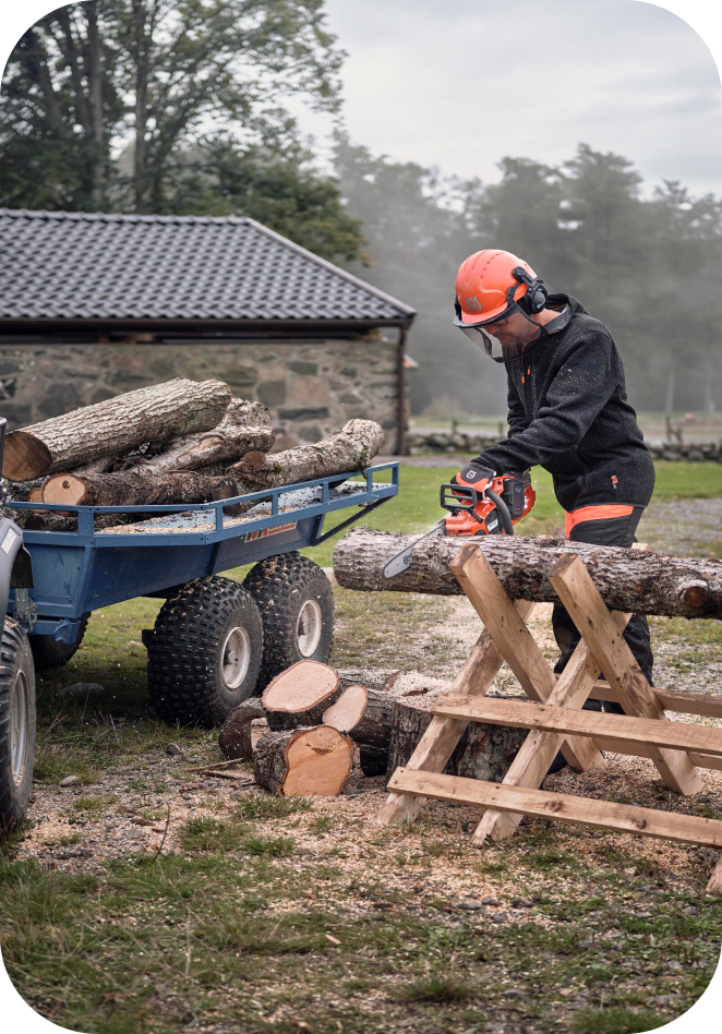 Sawing tree trunk